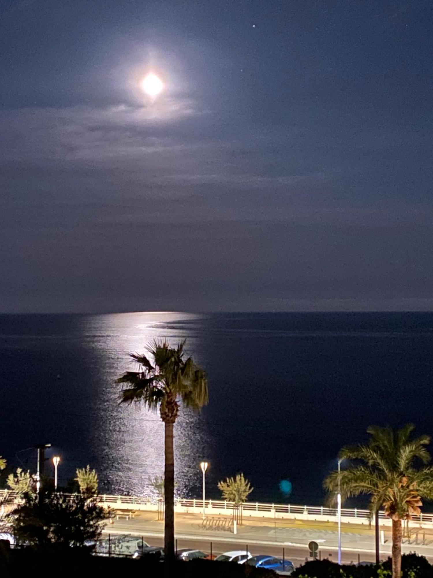 Bord De Mer, Terrasse, Tout A Pieds Κάννες Εξωτερικό φωτογραφία